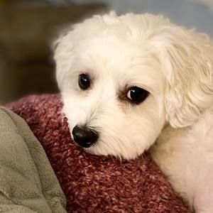 Meet your Posher, Beth